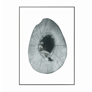 Kolaż analogowy „Dziupla”