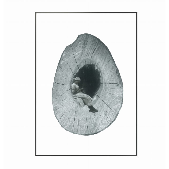 Kolaż analogowy „Dziupla”