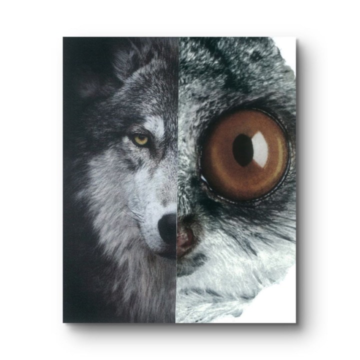 Kolaż analogowy „Widzę cię” - wydruk