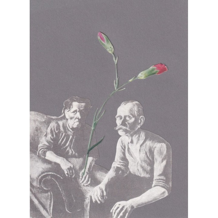 Kolaż analogowy „Dwa goździki”